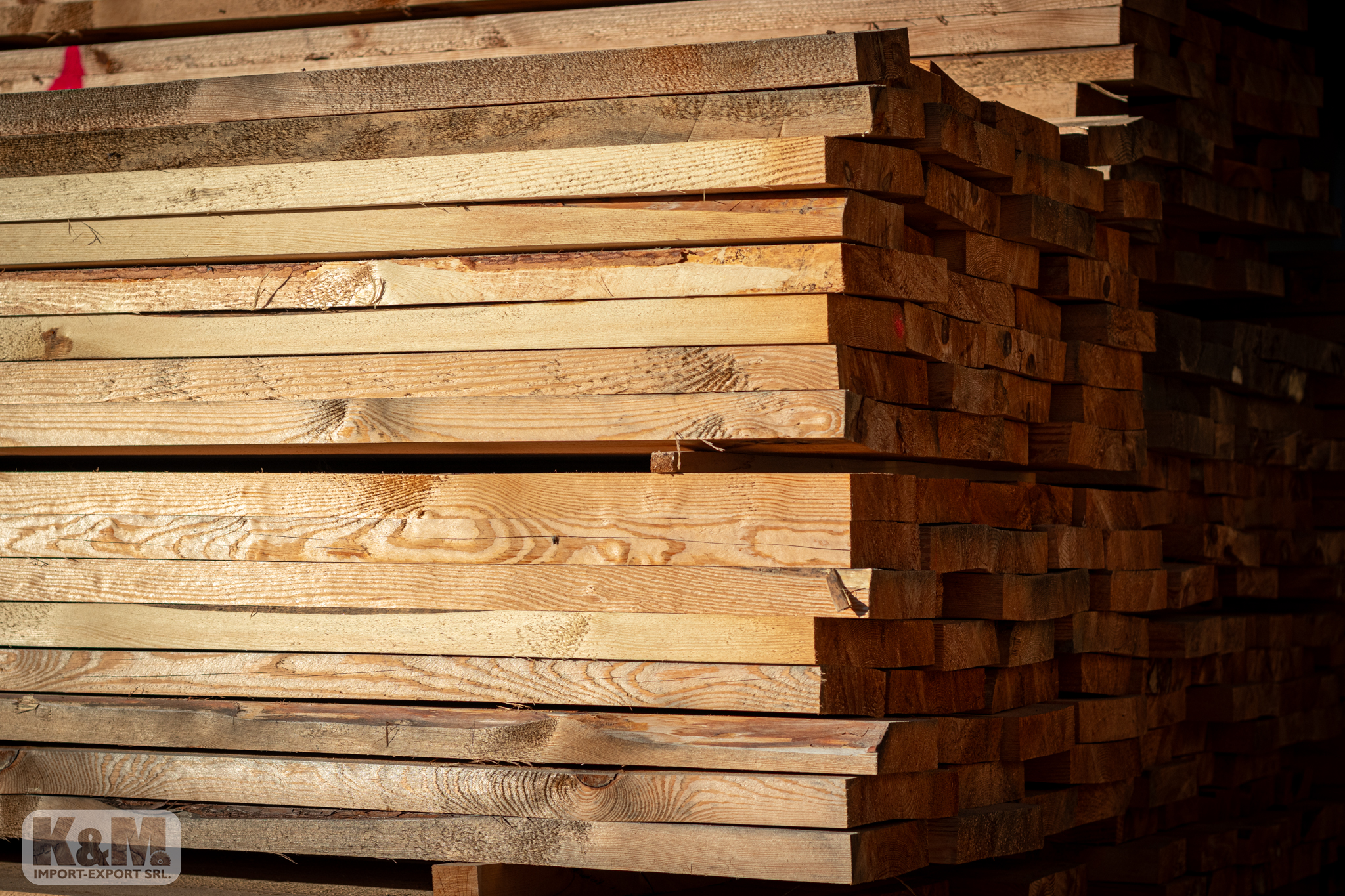 placeholder image-sq