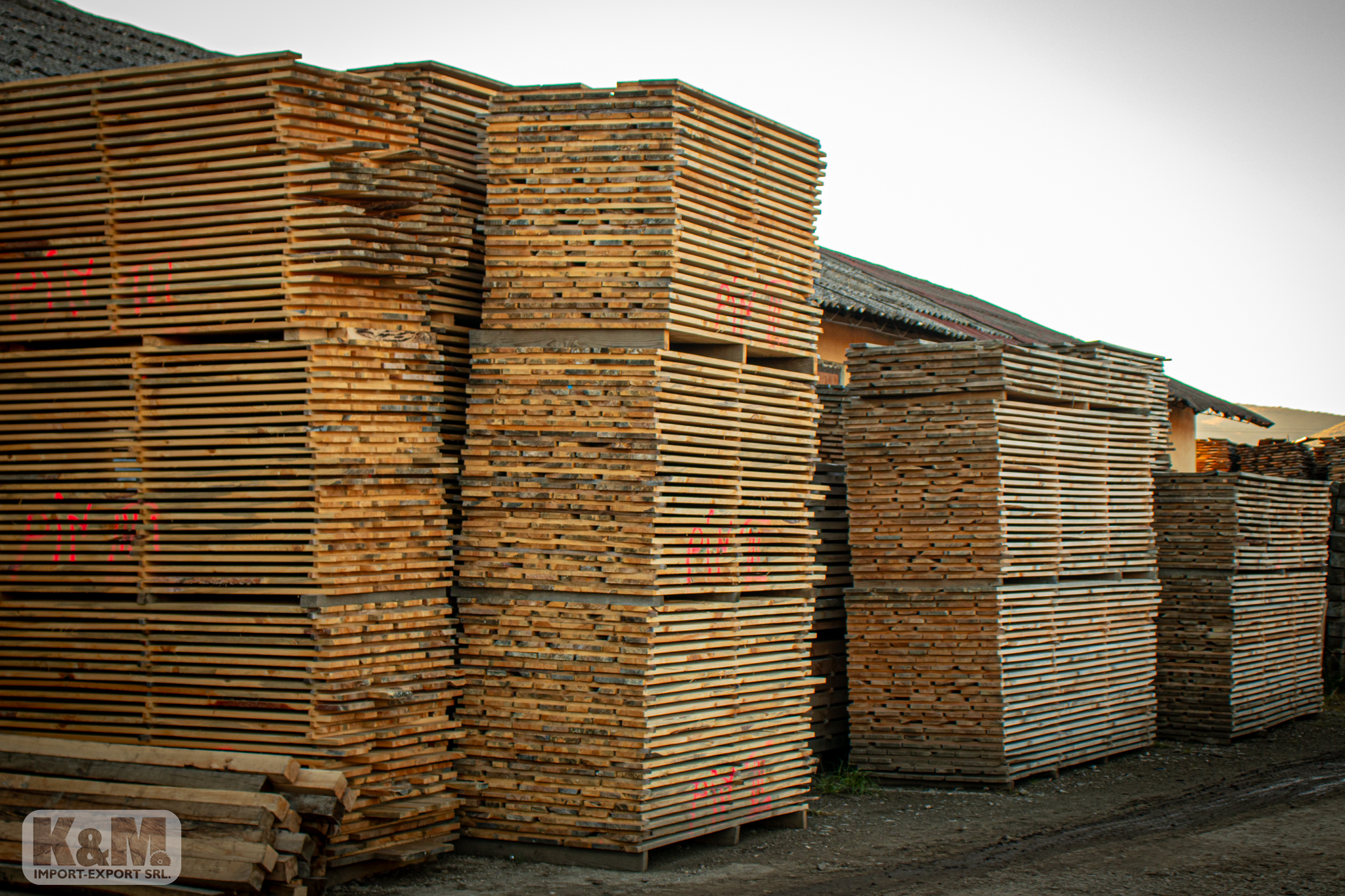 placeholder image-sq